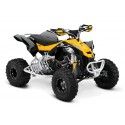 CAN AM 450 DS